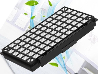 BGL 8SIL59T In'genius Hepa Filtre